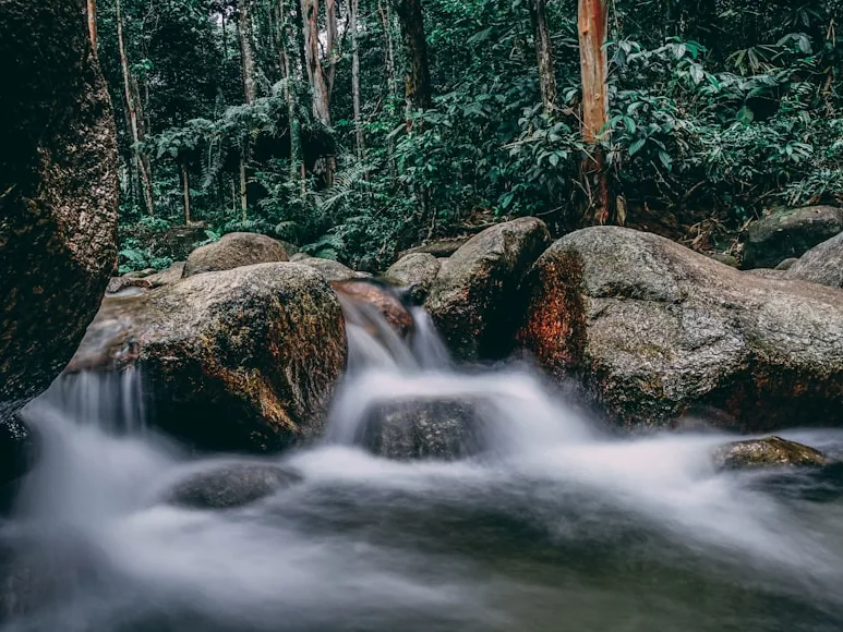 Air terjun dalam hutan hujan — pakej tanah tinggi dan agro KRS Travel