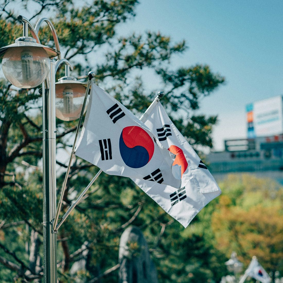 Bendera Korea Selatan berkibar di sebelah lampu jalan dengan latar bandar dan pokok pain — Pakej Korea Selatan KRS Travel